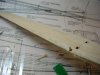 DSCN5296.JPG